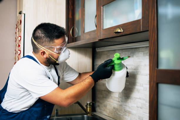 Best Wildlife Control Services  in North Kensington, MD