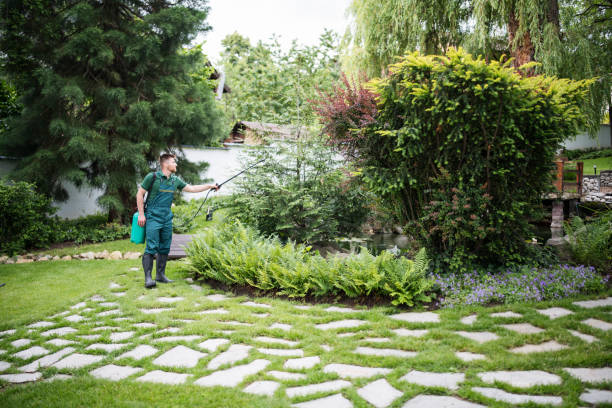 Wildlife Control Services in North Kensington, MD