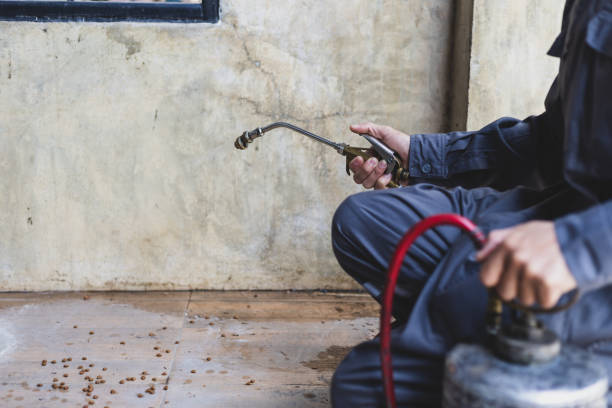 Best Affordable Pest Control Services  in North Kensington, MD
